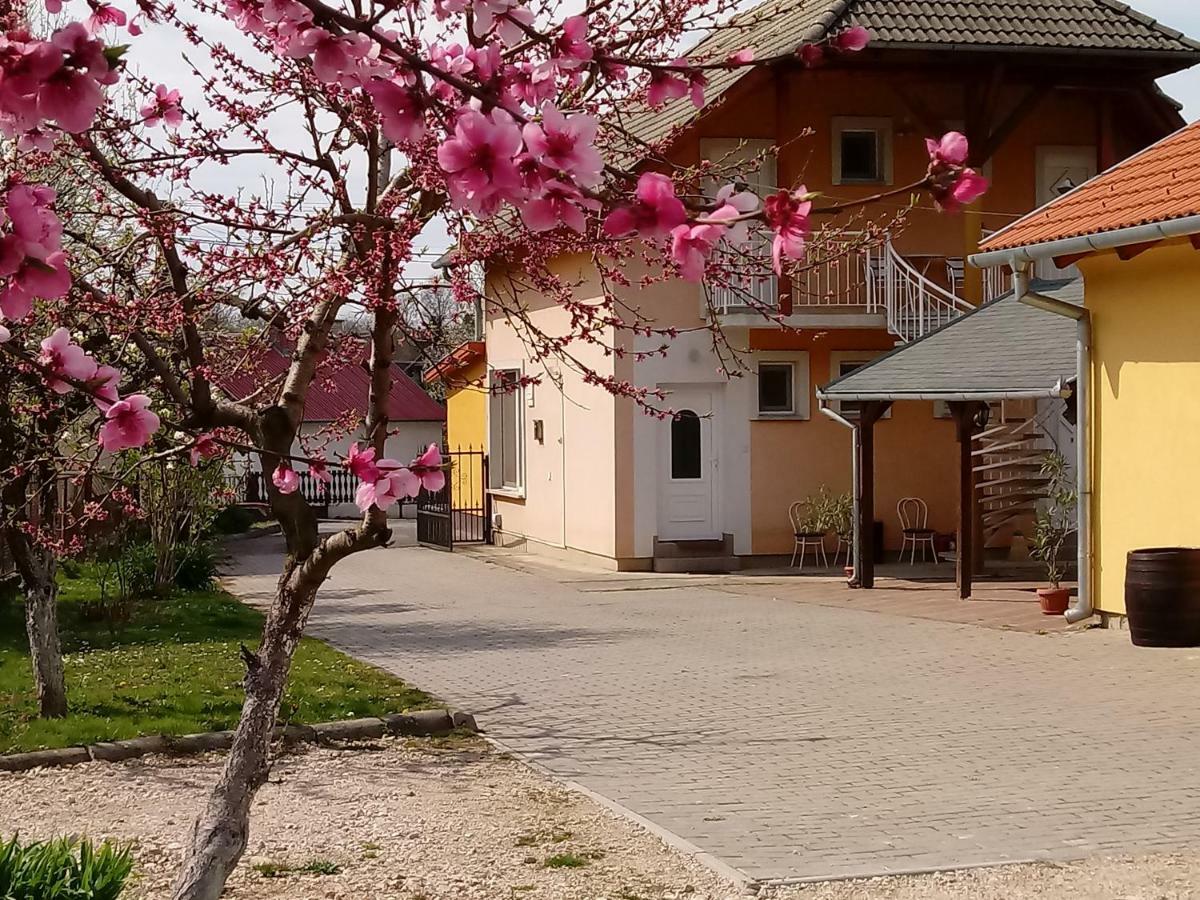 Napsugár Vendégház Újudvar Esterno foto