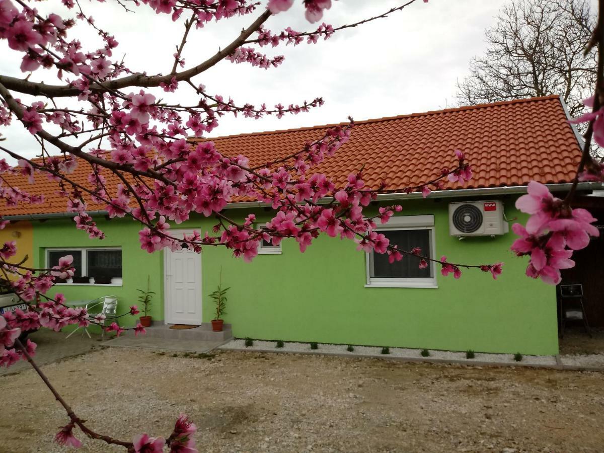 Napsugár Vendégház Újudvar Esterno foto